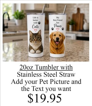20oz Tumbler with stainless steal straw
